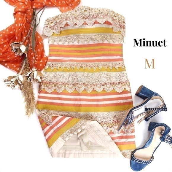 Minuet Strapless Embroidered Orange Tan Striped Dress Sz M - Picture 1 of 15